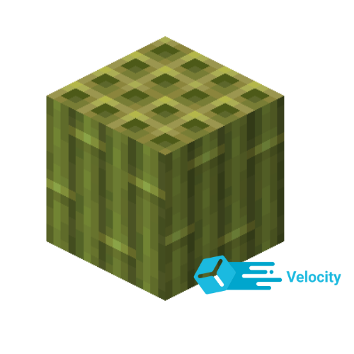Bamboo Velocity 🎍
